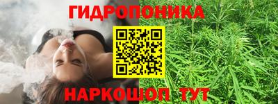 дмт Малгобек