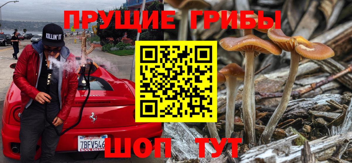 Галлюциногенные грибы MAGIC MUSHROOMS  Вход с VPN  Ессентуки 