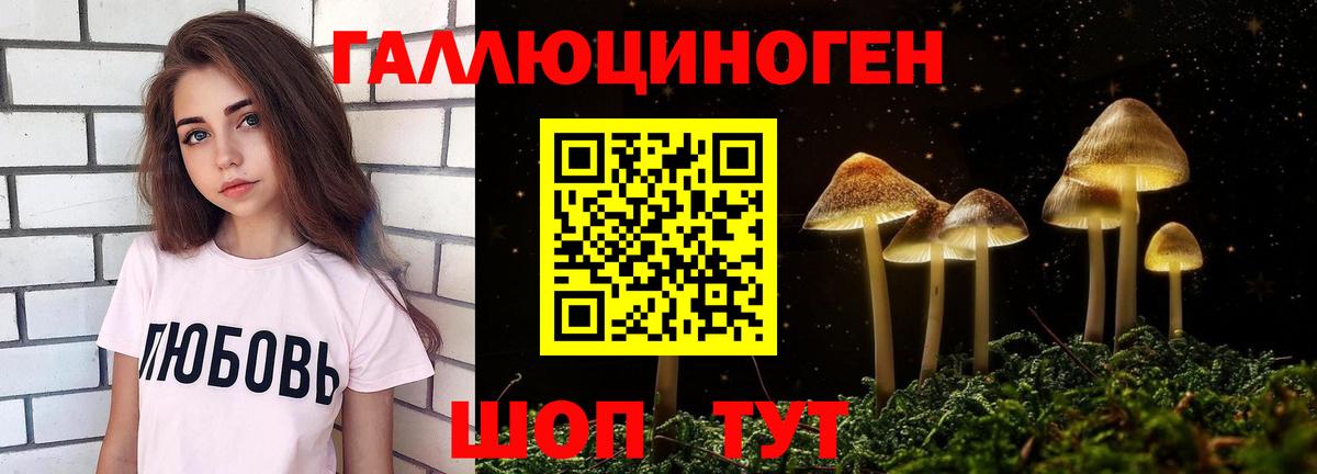 Псилоцибиновые грибы GOLDEN TEACHER Ессентуки